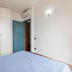 6 *